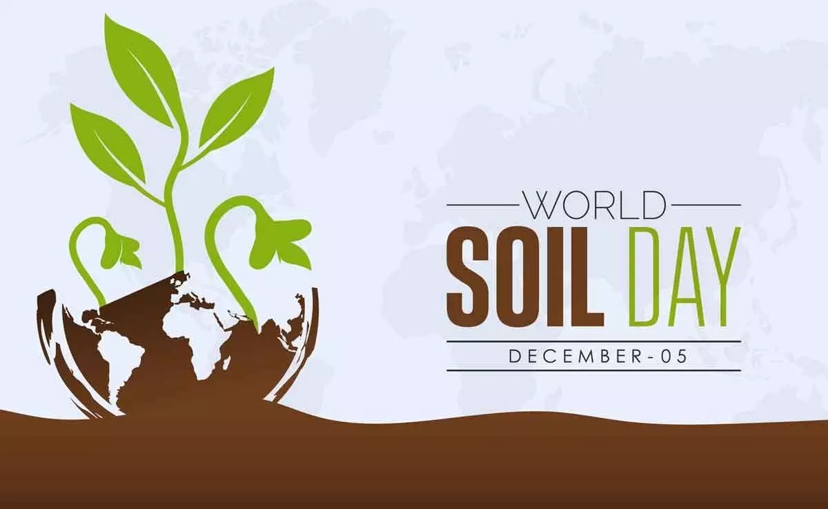 Soil's Vital Shield: Protect It Today for Water, Climate & Tomorrow's World!