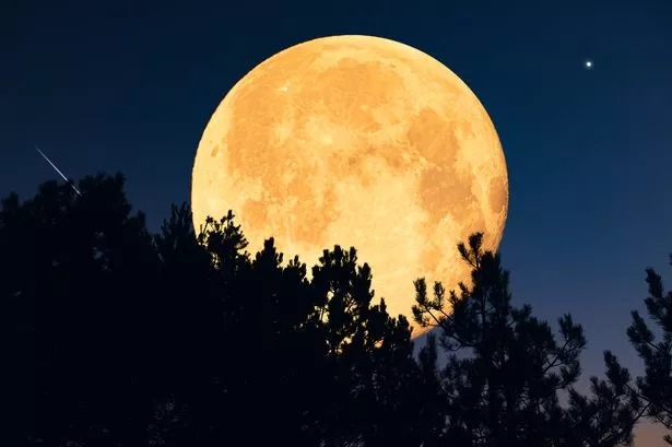 A Night of Lunar Magic: When and How to See November’s Enchanting Supermoon