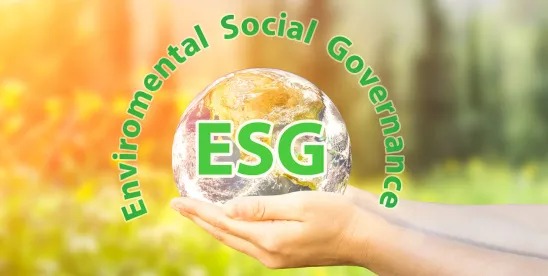 The AI-ESG Revolution Begins: Rose Merc’s Strategic MoU with Auctus ESG Explained