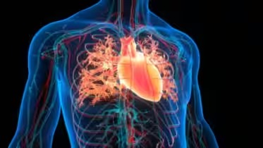 3 Small Changes After 8 PM That Can Dramatically Lower Your Blood Pressure, According to Dr. Sanjay Bhojraj