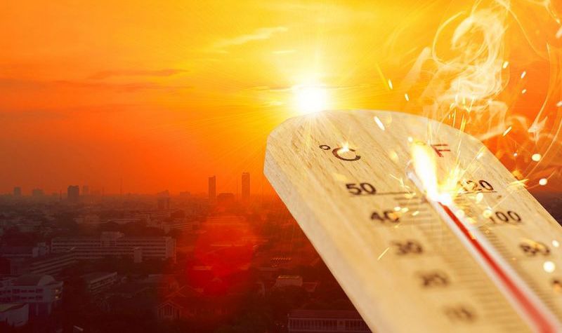 Sweat It Out! IMD Says April-June to Bring Intense Heatwaves