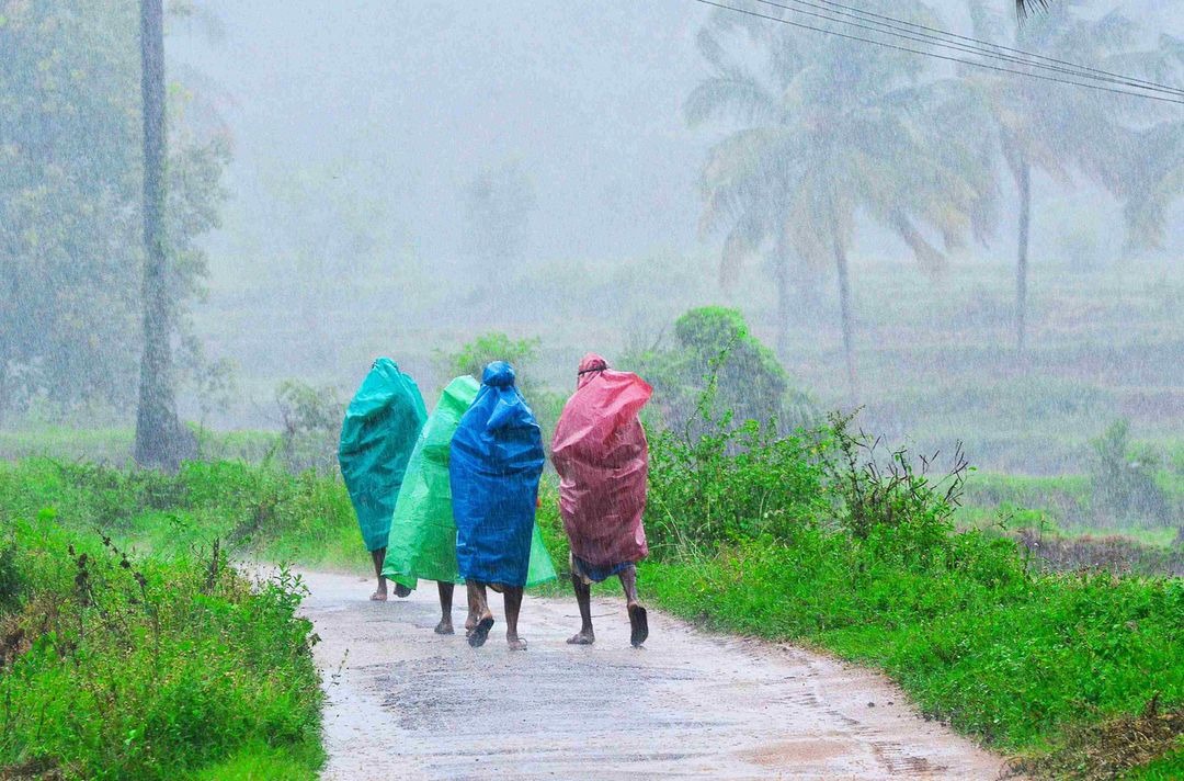 Monsoon in Balance: Pacific Neutral Phase Brings Hope and Complexity