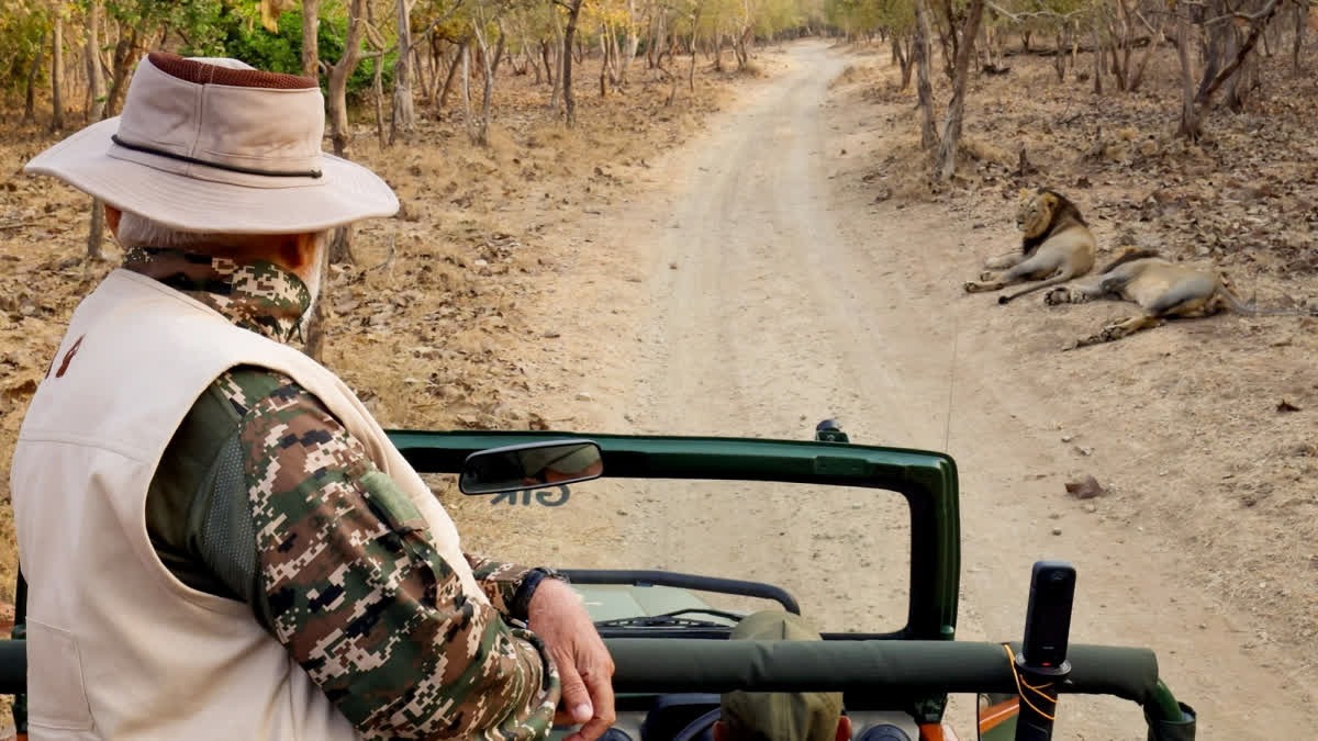 Nature's Guardians: PM Leads the Charge in Wildlife Conservation