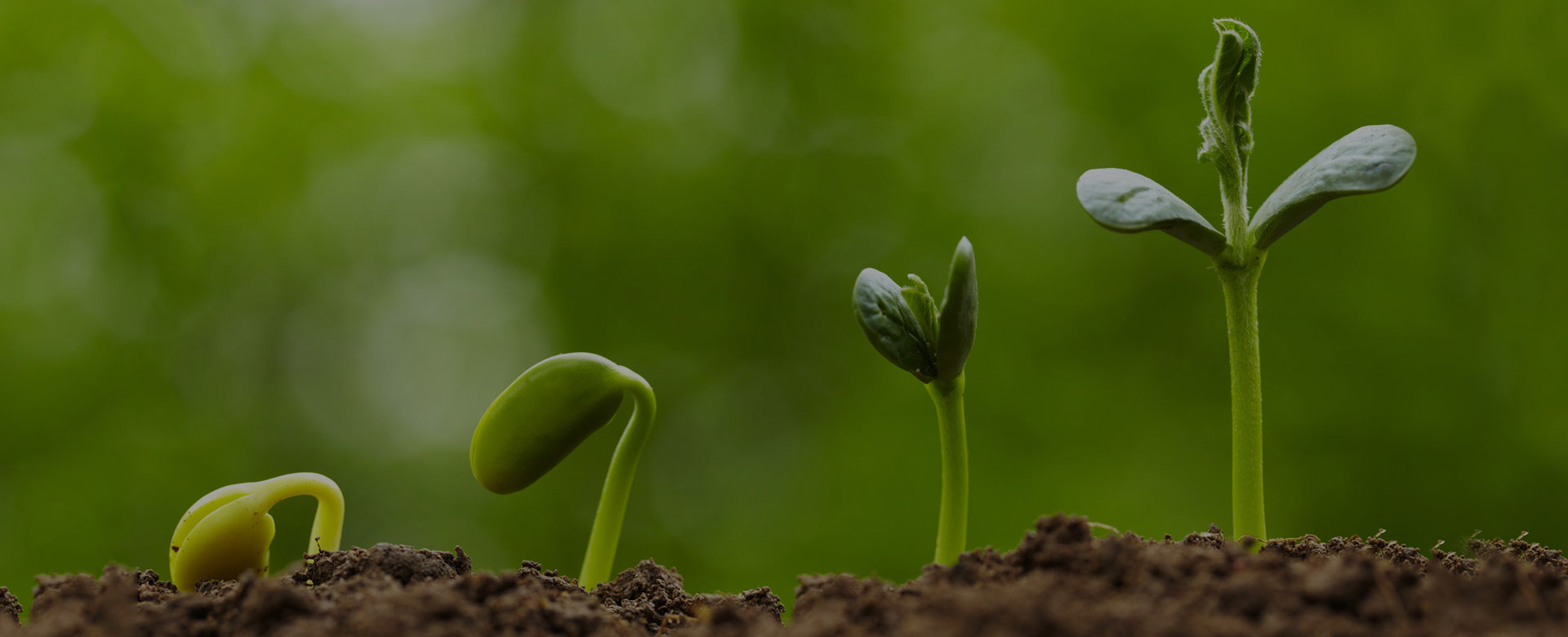 Valiant Organics Resumes Operations at Ahmedabad Facility
