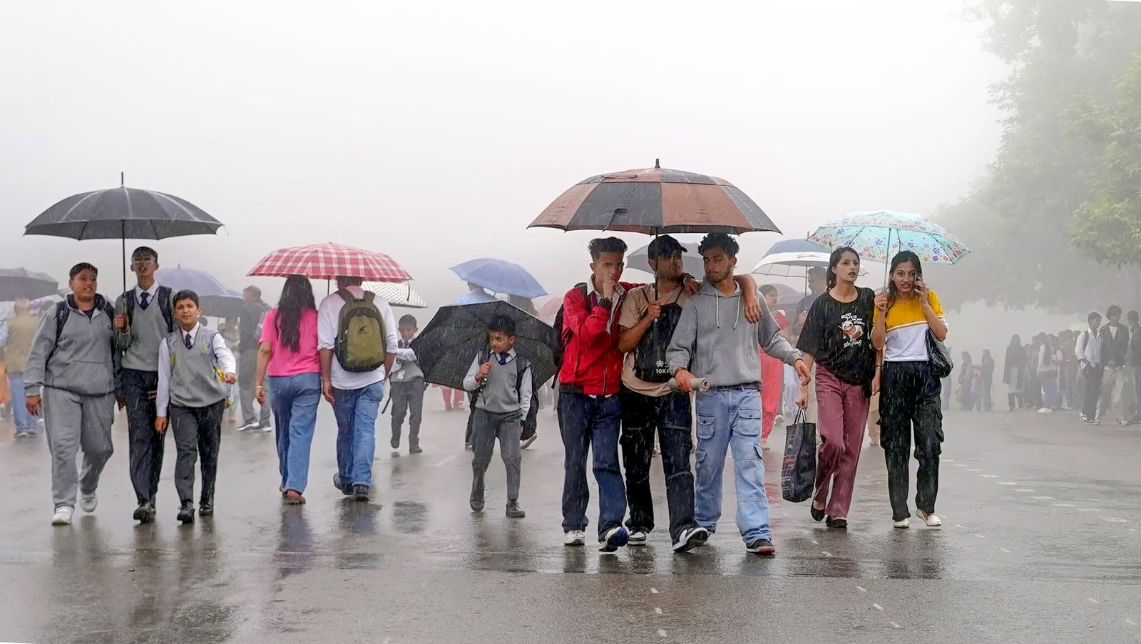 IMD Forecasts Monsoon Comeback in India With Widespread Rain