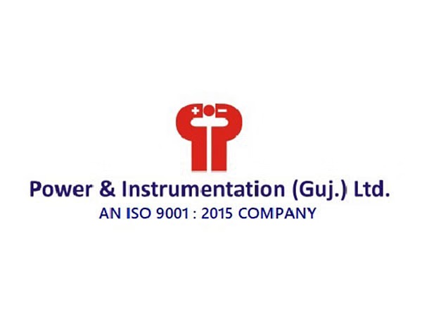 Power and Instrumentation (Gujarat) Sharpens Control in Peaton Electrical with Stake Surge to 51.06%