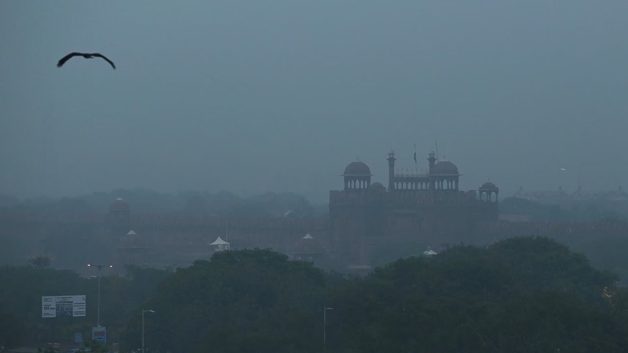 Fog, Frost & Figures: Delhi Logs Coldest December Day at 20.1°C