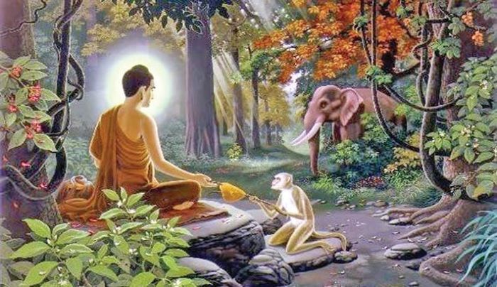 Madhu Purnima 2025: Buddhists Celebrate the Honey Full Moon Festival Embracing Compassion and Peace