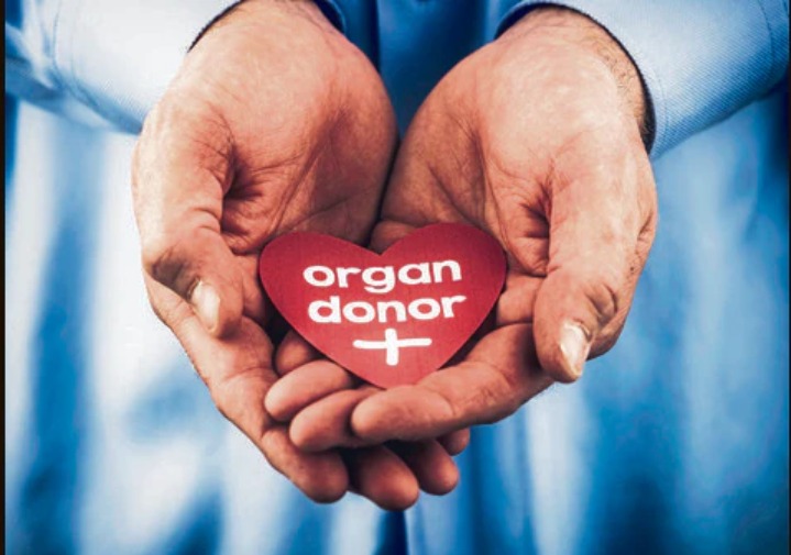 Saving Time, Saving Lives: Inside the Digital Upgrade Transforming India’s Transplant System
