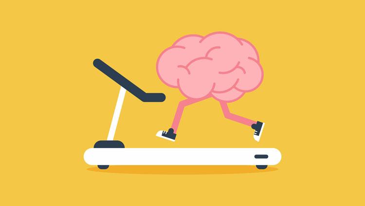 Step Into Sharpness: How Walking Is Fueling Brainpower and Slowing Ageing