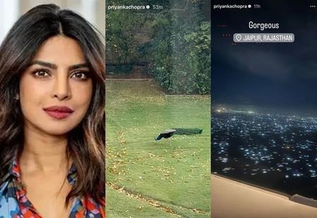 Priyanka Chopra's Jaipur Adventure: Bonds with a Peacock Amid Royal Charm