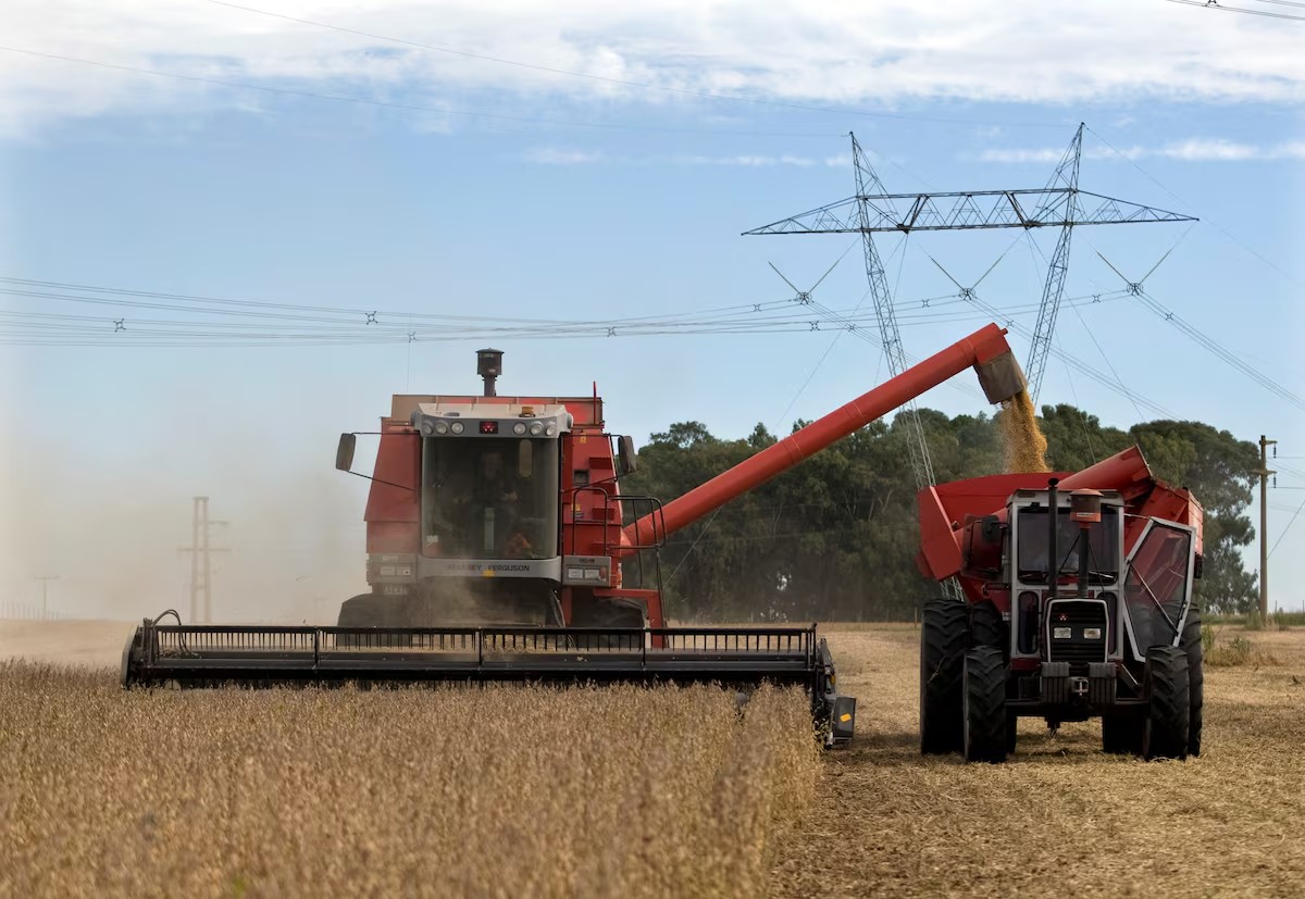 From Buenos Aires to India’s Kitchens: Record Soyoil Import Deal Marks Strategic Shift