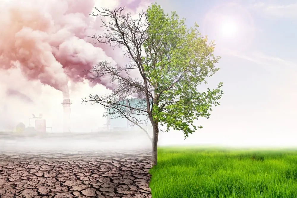 From Choke to Change: Can India Clear the Air?