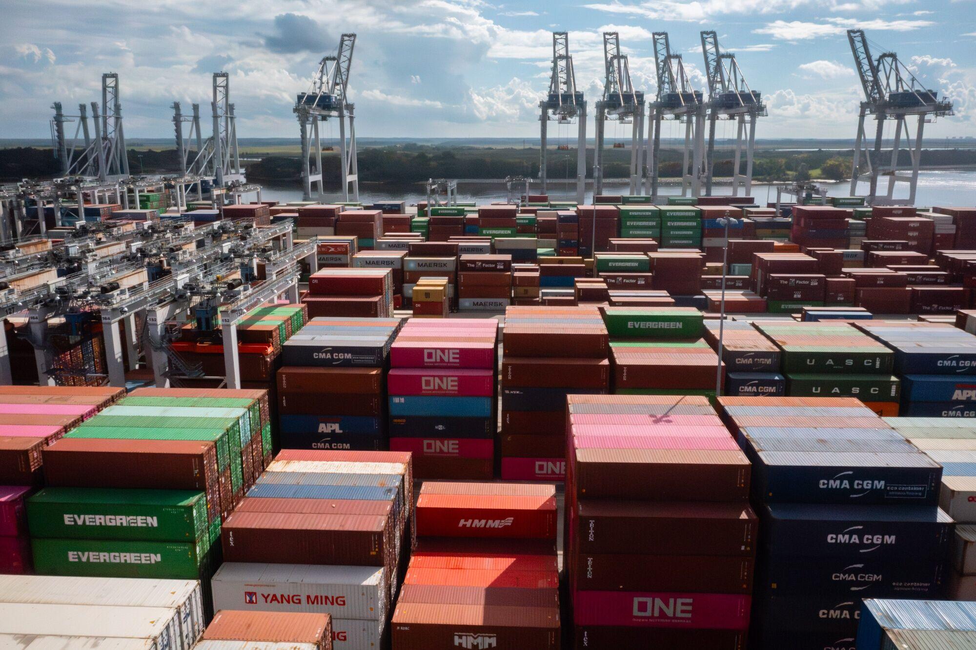Allcargo Terminals Clears ₹800 Million Share Issue to Fuel Growth