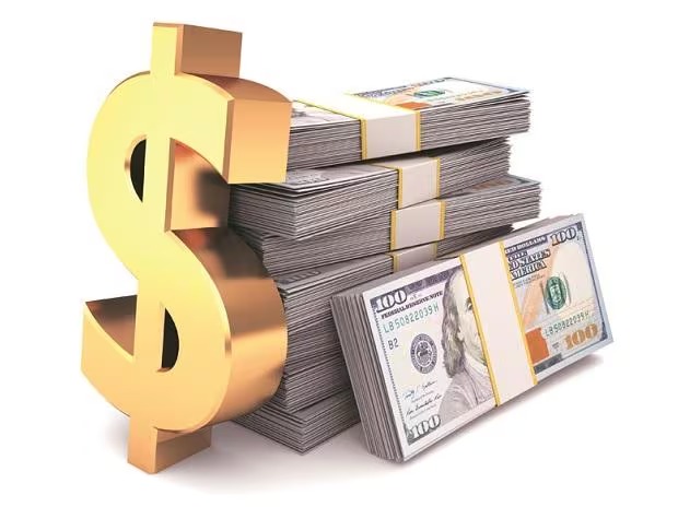 Dollar Dash: RBI's $15 Billion Boost for Forex Reserves