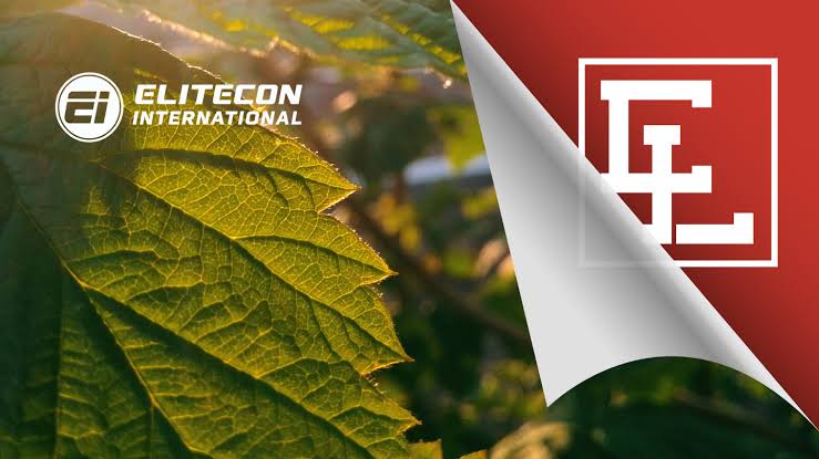 Too Spicy to Handle? Elitecon Shelves Dubai Deal Over ‘Salt-and-Peppered’ Financials