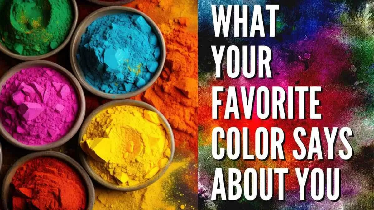 The Emotional Spectrum: Exploring the Powerful Link Between Color Preferences and Personality Traits