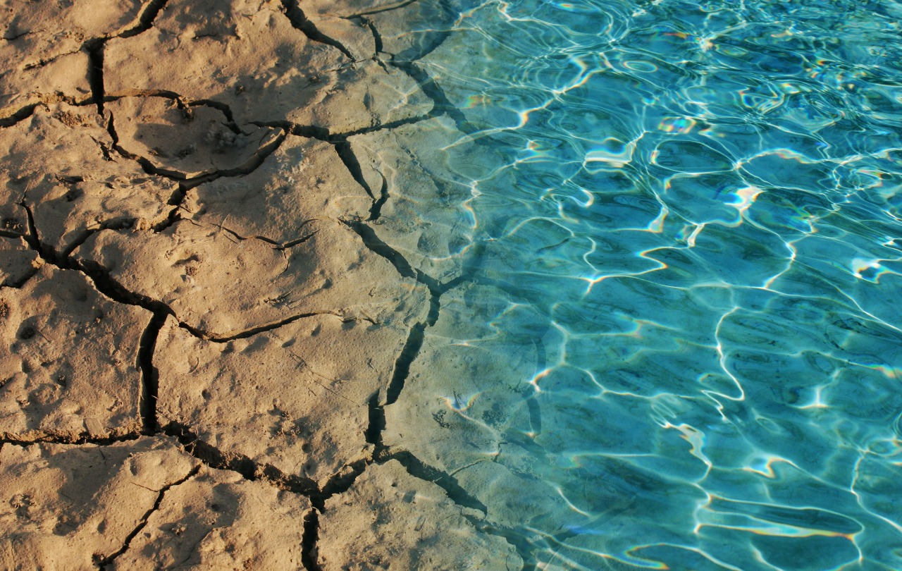 Rain or Shine: Cities Face Climate Shifts