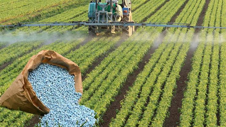 Government Sanctions ₹37,216-Crore Fertiliser Subsidy for Kharif 2025