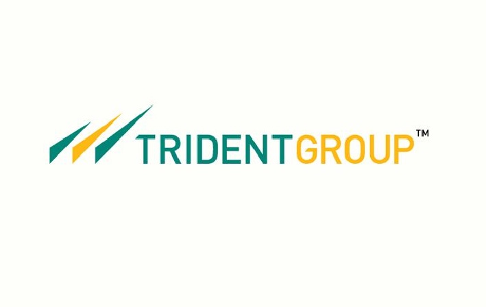 Trident Records ₹16.67 Billion Revenue and ₹797 Million Profit in Q3 FY2024-25