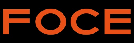 Foce India Approves Bonus Share Issue In 7:5 Ratio