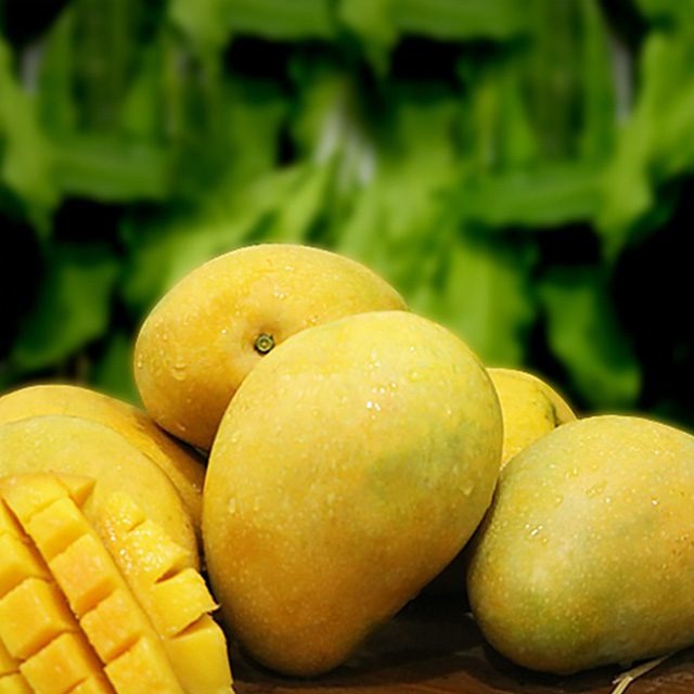 Hyderabad's Season Begins Early with Premium Prices