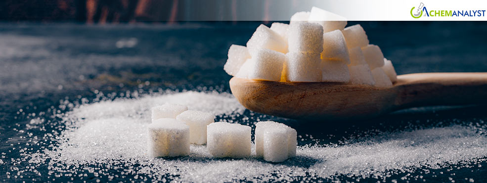 Market on Ice: Sugar’s Upside Frozen by Global Surplus Forecast