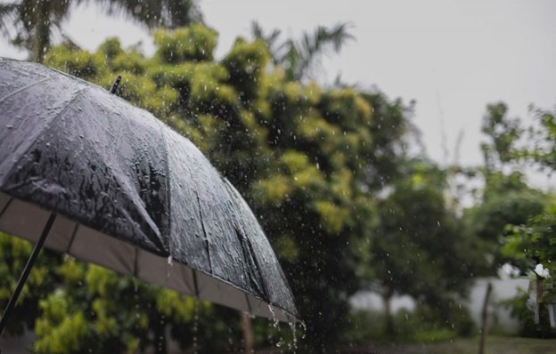India Braces For Weeklong Deluge: IMD Issues Heavy Rain And Storm Alerts Across Multiple States