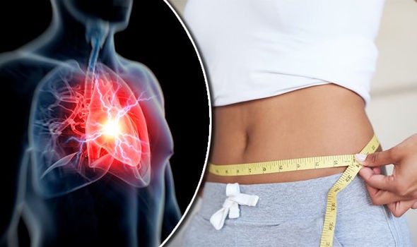 Thin-Fat Paradox: Unveiling Hidden Risks to Heart Health