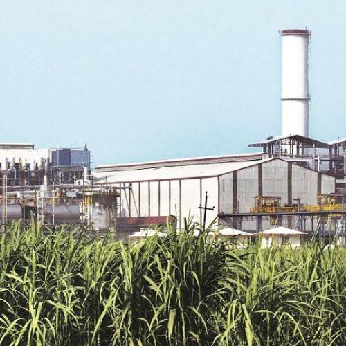 Boardroom Shuffle: Davangere Sugar Delays Decisions, Sparks Speculation
