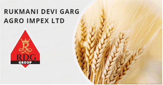 Leadership Transition Begins at Rukmani Devi Garg Agro Impex Following Lakshya Gupta’s Resignation