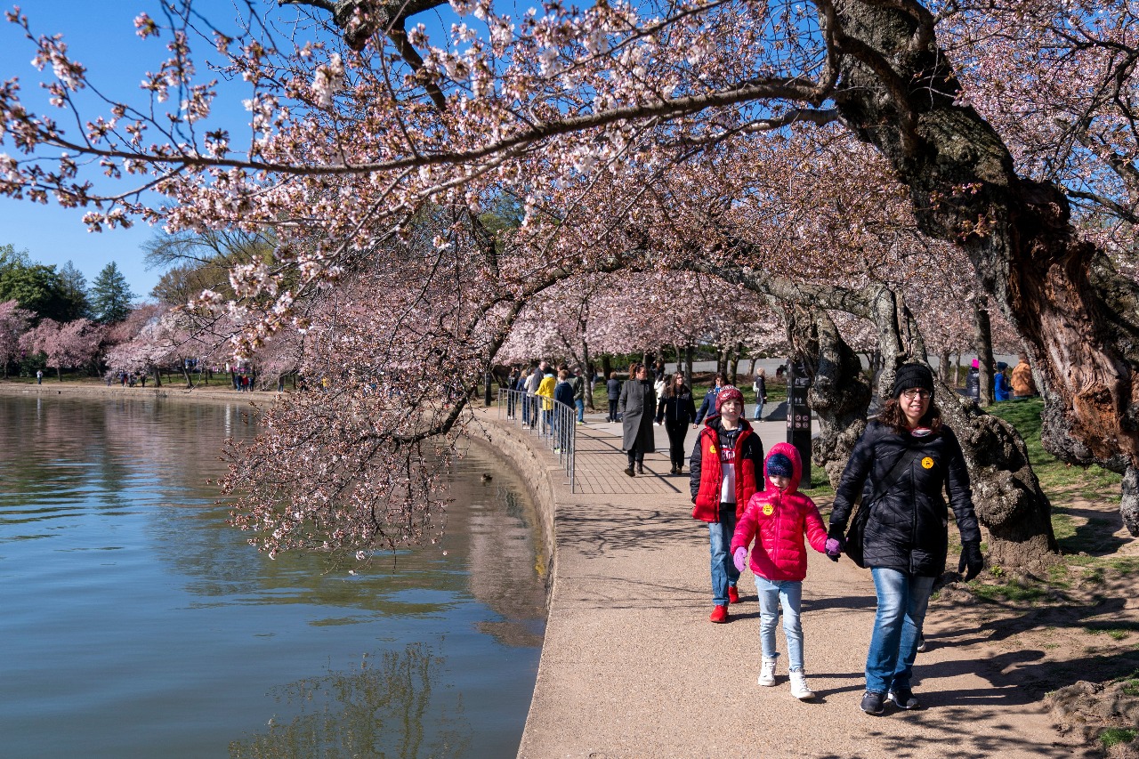 Spring into Change: How Climate Shifts Our Senses