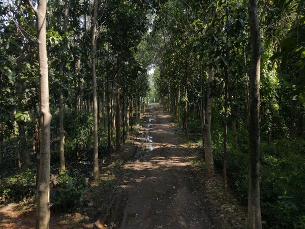 Adani Surguja Mine Restored with 1.6 Million Trees in Green Drive