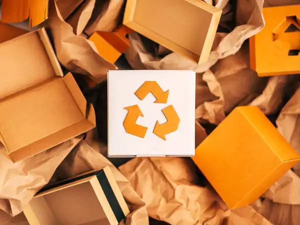 SSF Plastics India Prepares for ₹300 Crore IPO, Riding High on Sustainable Packaging Wave
