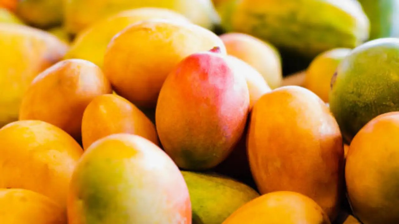 Forgotten Mangoes Make a Comeback: Market Buzz Revives Rare Varieties Like Husnara and Ratol