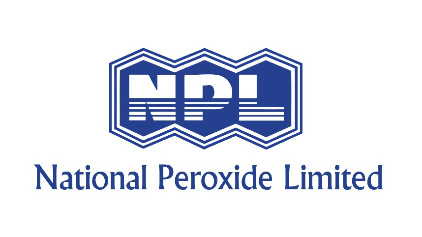 Naperol Investments Ltd Declares ₹9 Interim Dividend for FY 2024-25