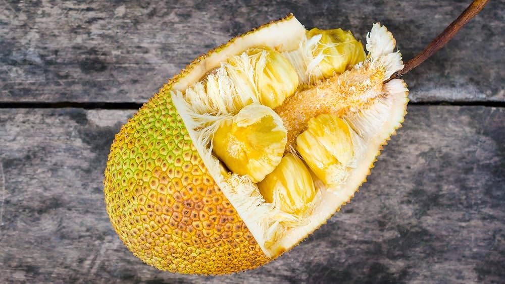 Swing, Sweetness, and Stories: Cinematic Baseball and the Jackfruit “Mishti” Revolution