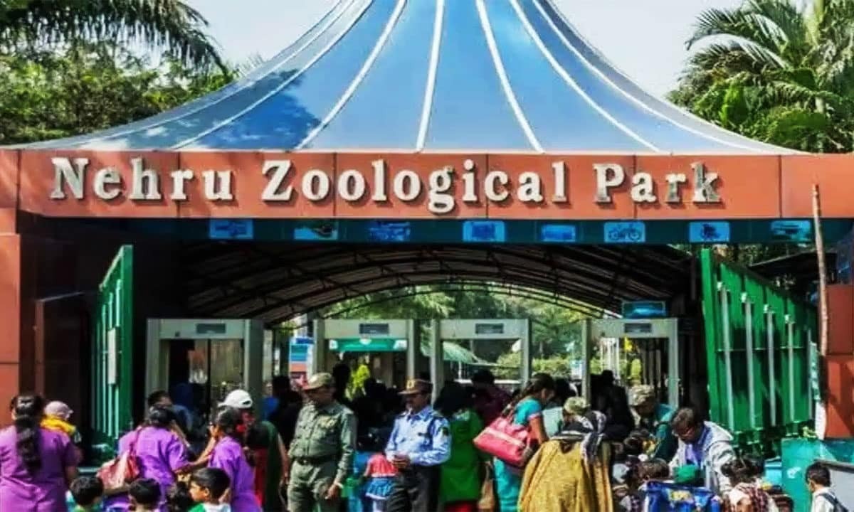 Hyderabad’s Wildest Day: 24,000 Animal Lovers Pack Nehru Zoo Park