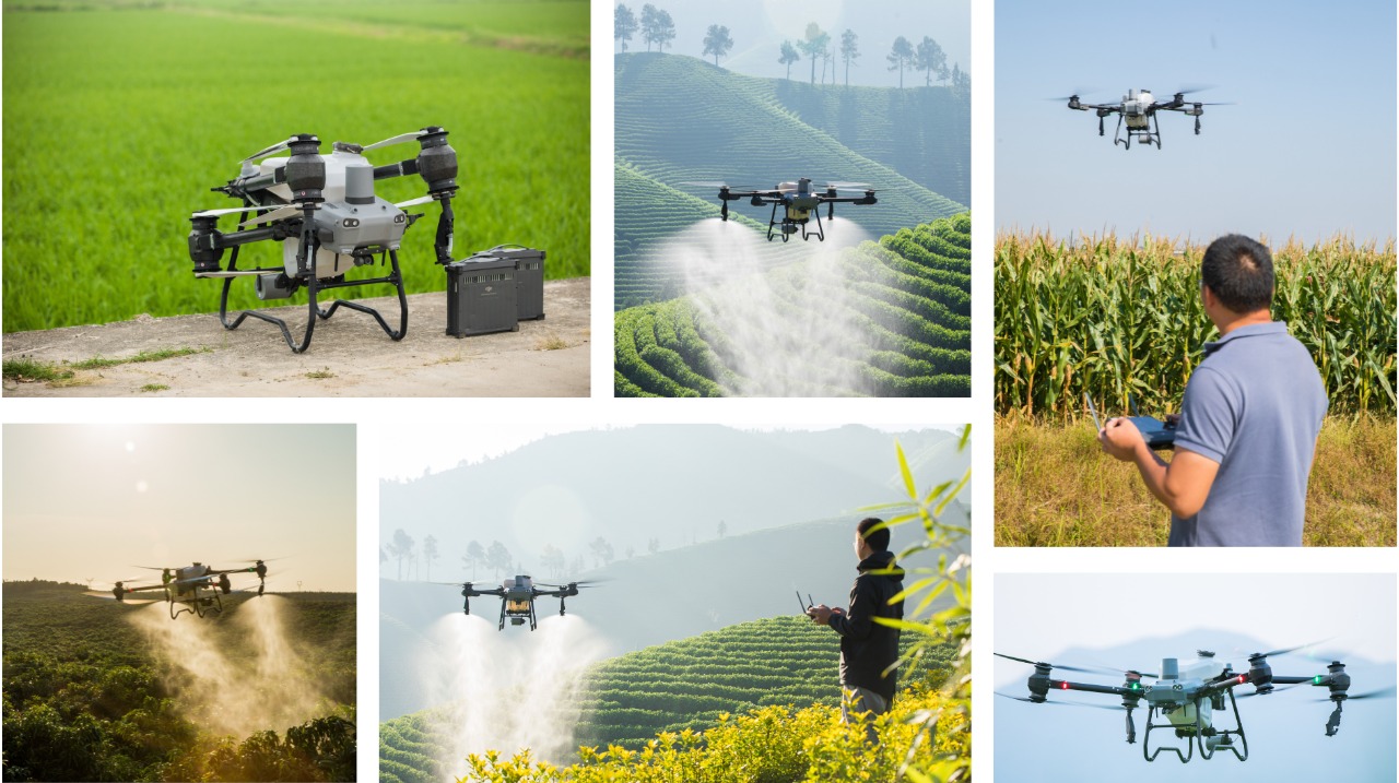 Drones Over Fields: UP Launches High-Tech Crop Protection in Six Districts