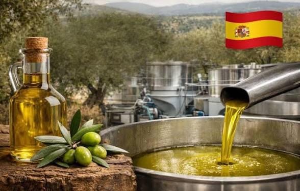 Spain’s Olive Oil Legacy: The Mediterranean Secret Behind The World’s Largest Production