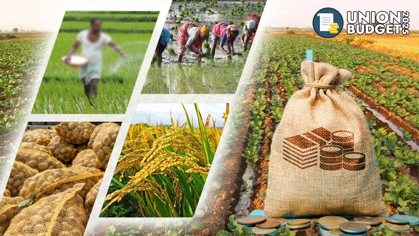 From Farm to Fortune Budget 2025 Aims to Double Farmer Incomes in India