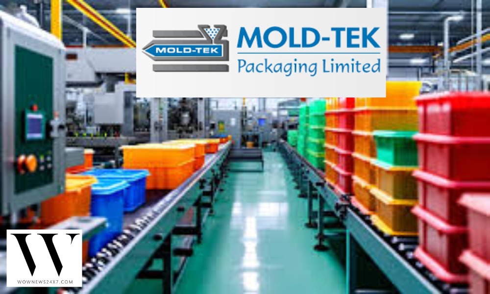 Mold-Tek Packaging Declares ₹2 Dividend – How Will This Impact Investor Sentiment And Sector Growth?