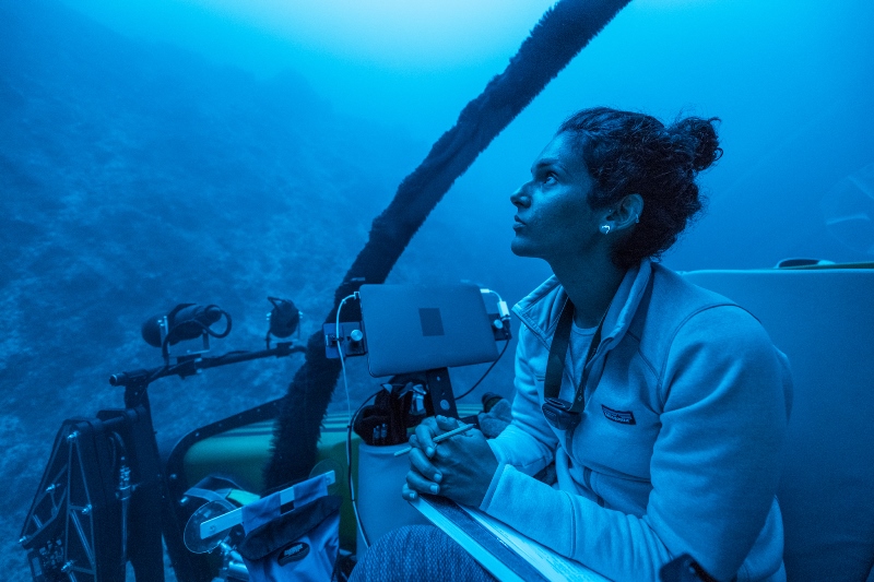 The Ocean’s Slowest Dance? New Research Reveals How Southern Waters Mix