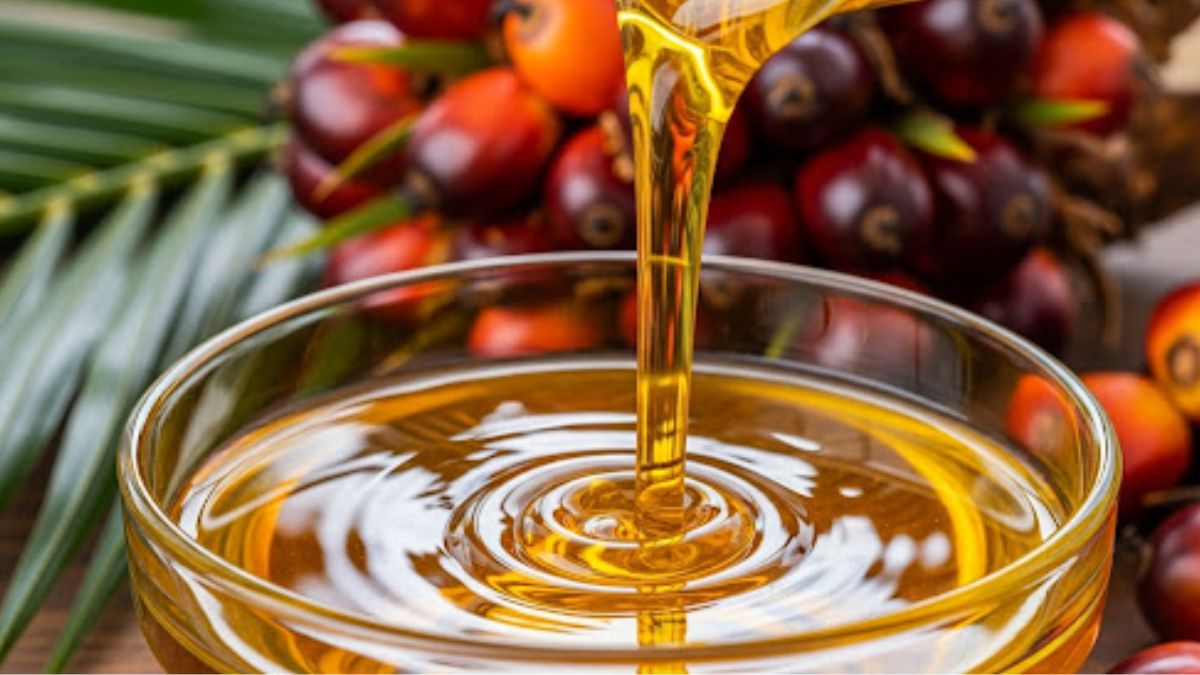 India’s Edible Oil Trade Sees Mixed Trends in July: Soyoil Surges While Palm Oil Slips