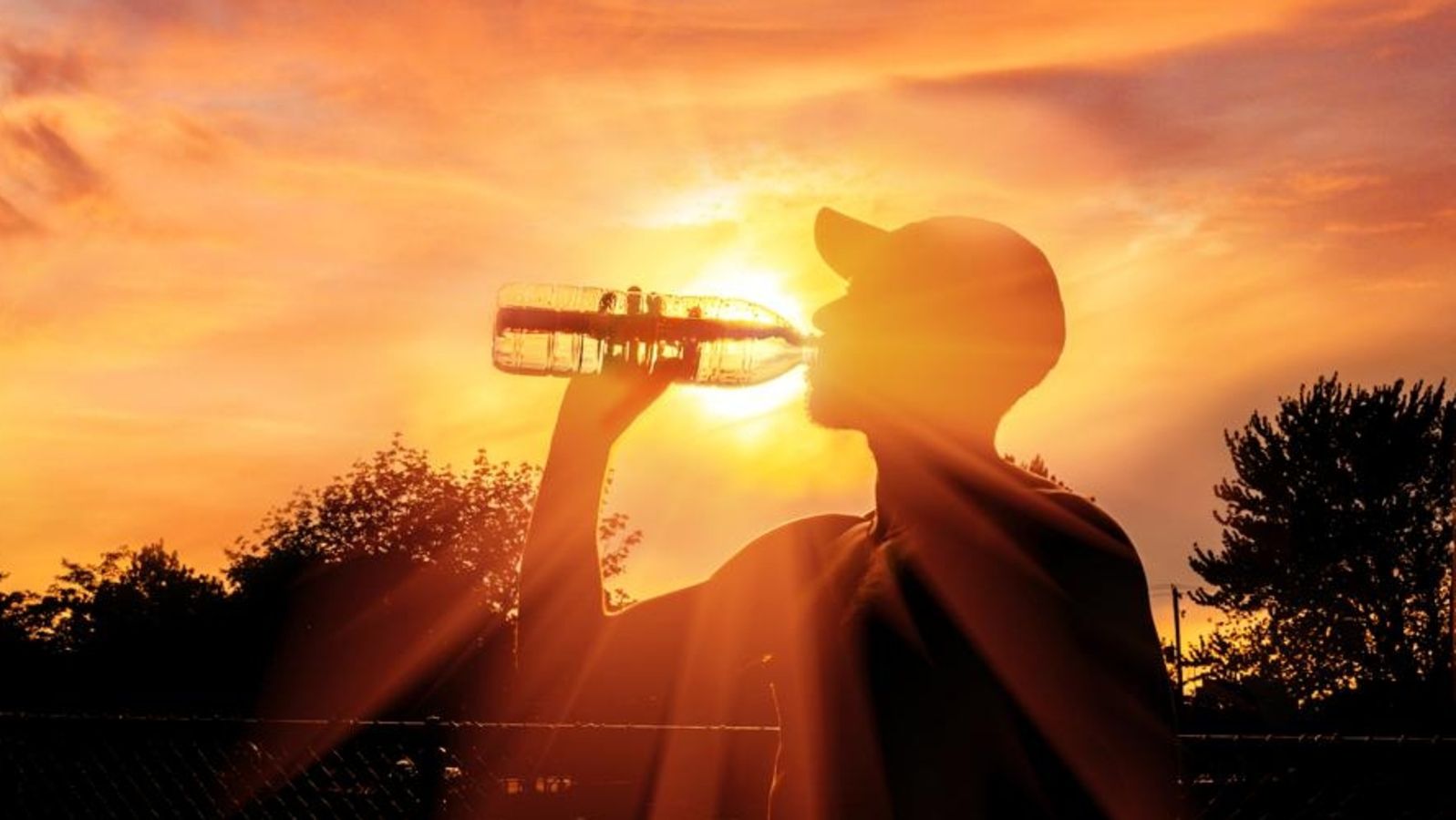 Scorched State of Mind: Rajasthan Hits Boiling Point with 45°C+ Temperatures