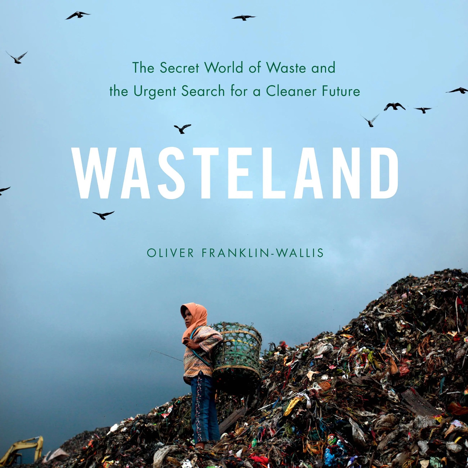 The Hidden Truth Behind Our Trash: Franklin-Wallis Exposes Waste Industry Deceptions