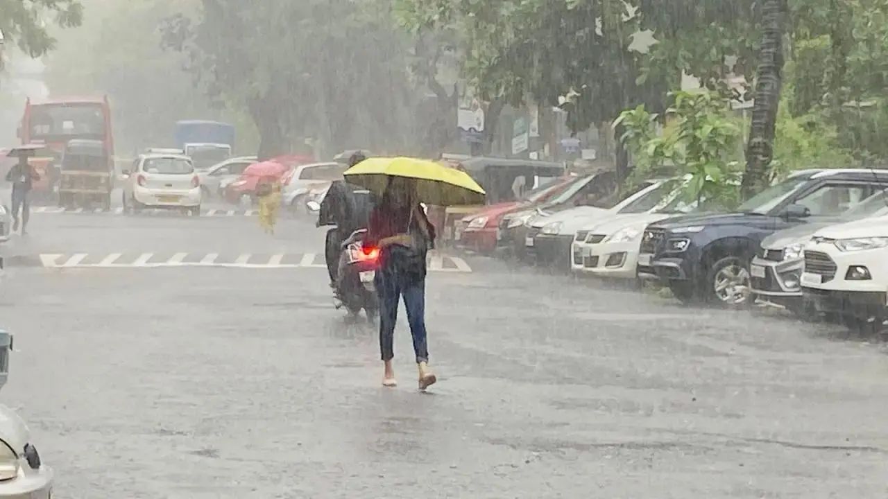 Rain Check! Maharashtra Ghats Stay Under Red Alert as Monsoon Pours On
