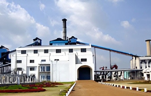 Kakatiya Cement Gets Green Light To Extend Mining In Jaggaipeta Reserve Forest