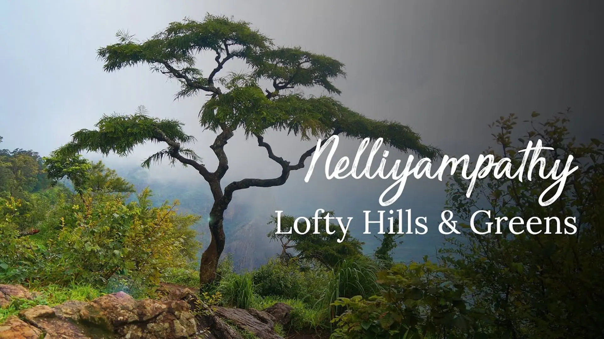 Rejuvenate in Nature’s Lap: 5 Must-Visit Hill Stations Near Kochi for Summer Travelers