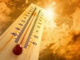 IMD Issues Orange Alert As Delhi Faces 43°C Heatwave, Rain Predicted Later This Week